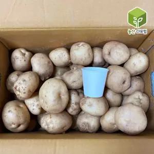 국내산 왕특감자 햇감자 찜용 요리용 조리용 10kg