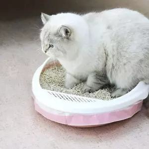 고양이배변봉투 봉투 세트 3롤 고양이 화장실 봉투 (WFHJEOG)