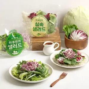 [다신샵][당일제조] 3회세척 4가지야채 실속 샐러드믹스 10팩 / 로메인 양배추