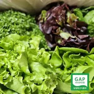 [농협] GAP인증 유러피안 샐러드 쌈채소 1kg (4종+랜덤1~2종) 당일수확발송