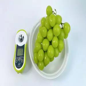 고당도 샤인머스켓 망고 포도 씨없는 포도 제철과일 과일선물 2kg 5~6수