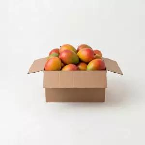 프리미엄 무지개망고 1kg 마하차녹 태국