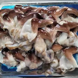 [파인밀] 국내산 새조개 400g 당일조업 자연산