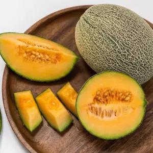 고당도 하미과 멜론 / 5KG 랜덤과