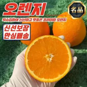 오렌지 특대과 5과 (과당 300g 내외)