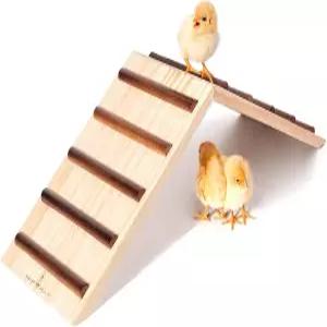 병아리 용품 농어 및 닭 둥지 스탠드 훈련 나무 램프 트레이너 브루더용 장난감 조립 금지 작은 동물을