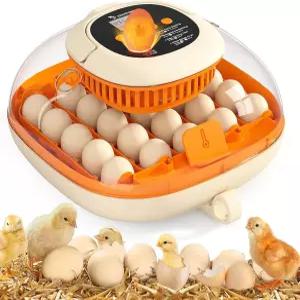 칙코지 25 인큐베이터 온도계 시트 및 습도 조절 기능이 있는 자동 터너 캔들러 투명 창이 360 뷰 부화