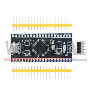 최소 시스템 개발 보드 STM32F401RCT6 STM32 ARM 코어 학습 모듈 C 타입 포트