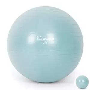 밸런스볼 필라테스 발란스 밸런스팟 돔볼 짐볼 다이어트짐볼 55cm