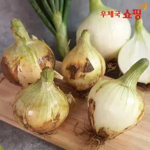 [우체국쇼핑] 26년 무안 황토밭 햇양파 5kg 중대혼합
