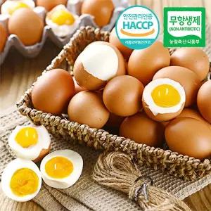 [무항생제/HACCP] 간이배어있는 반숙계란 반숙란 60구(2판)