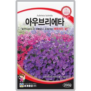 산들마켓 아우브리에타 꽃씨앗 200립 아름답고 오래가는 매력적인 다년생 꽃씨 종자