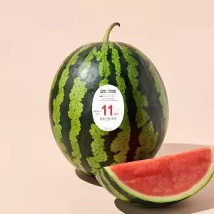 당도선별 수박 9~10kg미만