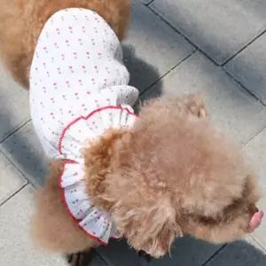 고품질 강아지 퍼프넥 슬리브 나시티 체리 2XL 1P 지지미 애견여름옷 (WFI19VQ)