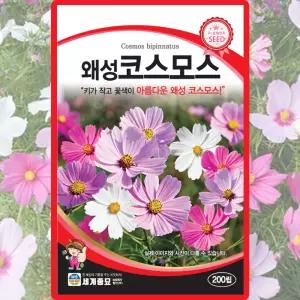 왜성코스모스 씨앗 200립 적색 핑크 흰색 혼합 꽃씨 종자