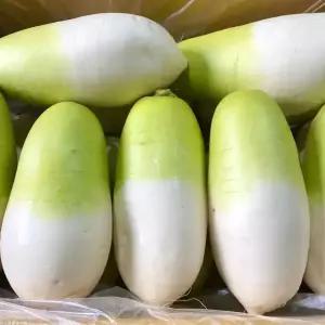 맛있는 제주무 월동무 김장무 세척 무 무우 3kg