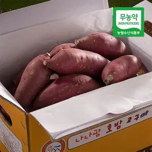 나나팜 무농약 친환경 단호밤 호밤 꿀고구마 한입 5kg