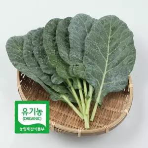 초록초록팜 국내산 유기농 케일 2kg 신선채소 산지직송 샐러드용 즙용 건강 야채 친환경 ZU