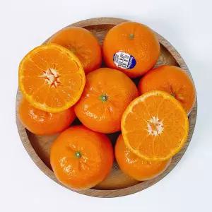 썬키스트 미국산 고당도 귤 만다린 2kg