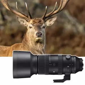 [내일도착보장] 시그마 S 60-600mm F4.5-6.3 DG DN OS 파나소닉/라이카L마운트