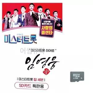 임영웅 미스터트롯 히어로 노래 SD