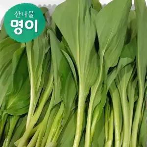 강원도 정선 명이나물 (대명이) 500g