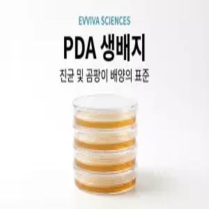 PDA(Potato Dextrose Agar)생배지 10plate