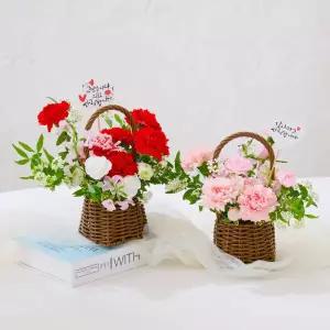 카네이션 생화 꽃바구니 만들기 DIY 키트 어버이날 선물 플라워 체험 세트