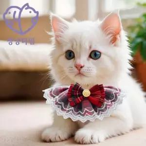 강아지 케이프 레이스 체크 스카프 고양이 케이프 리본 목걸이 용품 의류