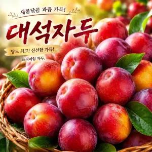 대석자두 최고당도 15brix 26년첫출하 안전포장 새콤달콤 프리미엄