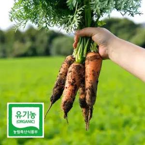 [초록초록팜]국내산 제주 유기농 당근 상 3kg 안심하고 먹는 친환경 흙당근 DO
