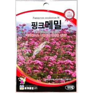 핑크메밀 50립 26년 세계꽃씨앗