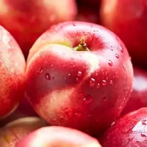 [6/12부터순차출고] 신비복숭아 2kg 소과 (30-34과)