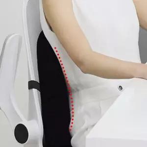 의자 메쉬 허리 쿠션 등받이 허리받침 척추 의자등받이쿠션 자동차허리쿠션 (WA4D138)