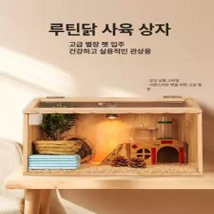병아리 햄스터 사육장 양서류 병아리키우기 메추리 파충류
