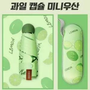 암막 패턴 차단 양산 5단 미니 양우산 UV 초경량 과일