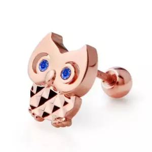 피어싱 로열블루 (Gold-pin) 14K