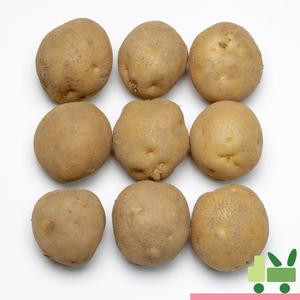 감자 10Kg (특)