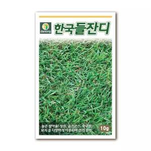 다농 한국들잔디 씨앗 10g (정원/골프장/축구장/묘지)