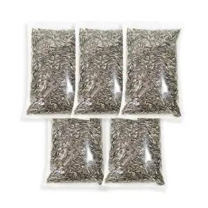 홀릭 앵무새 해바라기씨 500g 5개 왕관 모란 코뉴어 앵무새모이 앵무새먹이 앵무새새사료