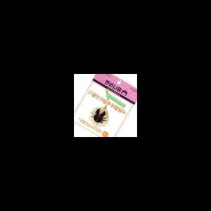 사슴벌레 목걸이 만들기 곤충 DIY 공예 재료 키트 유니아트