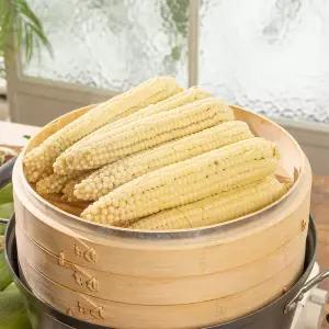 [굿파머] 강원도 삶은 냉동찰옥수수 12∼16cm (27개입)