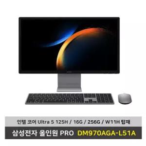 삼성전자 올인원 PRO DM970AGA-L51A 울트라5 SSD256G/16G/Win11탑재 일체형PC - KW