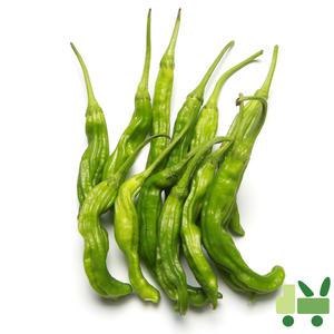 꽈리고추 8Kg (특)