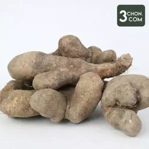 [삼촌밥먹자] 마의 고장 안동 산마 못난이 5kg