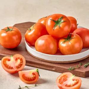 국내산 새콤달콤 완숙토마토 5kg (3-4번)