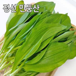 강원도 정선 민둥산 산마늘 명이나물 2kg 노지재배 산나물