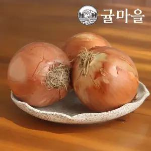 [귤마을] 국내산 양파 중소 5kg내외
