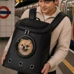 고양이외출가방 강아지 이동가방 고양이 반려동물 백팩 투명 통풍 여행