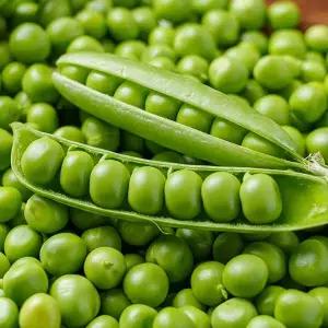 달큰한 풍미 전청프레시 국내산 완두콩 1kg 2kg
